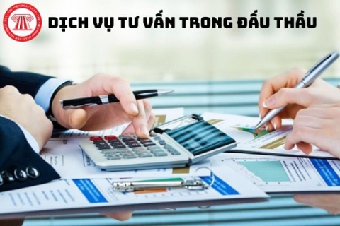 Tư vấn đấu thầu
