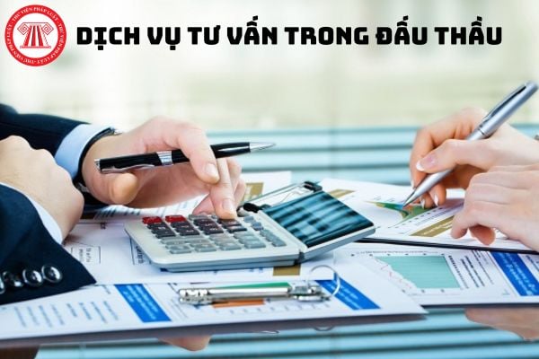 Tư vấn đấu thầu